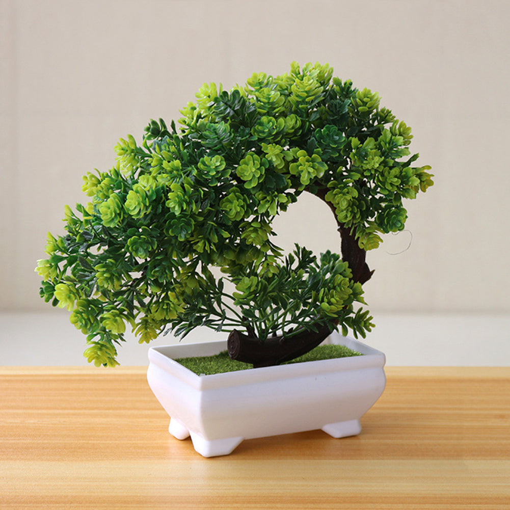 Eternal Beauty Decorative Bonsai Style Potted Plant