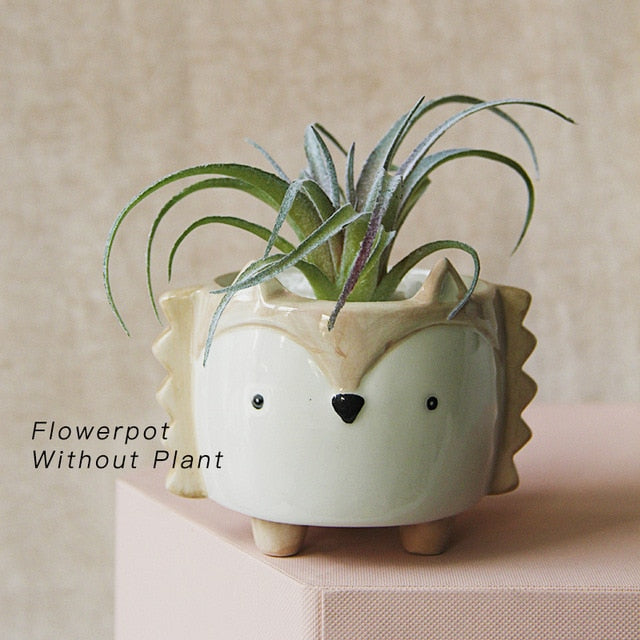 Love & Home Ceramic Animal Plant Pots